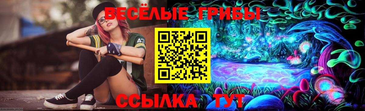 Псилоцибиновые грибы Psilocybe Лянтор
